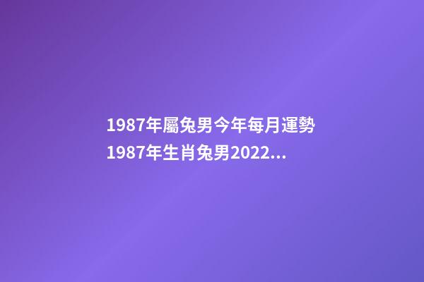 1987年屬兔男今年每月運勢 1987年生肖兔男2022年運勢-第1張-觀點-玄機派
